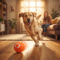 Juguete de Pelota Interactiva para Perros Gatos - La pelota que se mueve sola